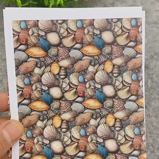 Seashells Polymer Clay Image Transfers: Water Soluble Paper (4x5.5 inches)